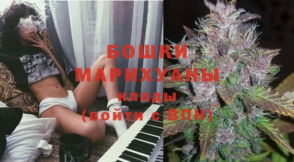 ГАЛЛЮЦИНОГЕННЫЕ ГРИБЫ Алзамай