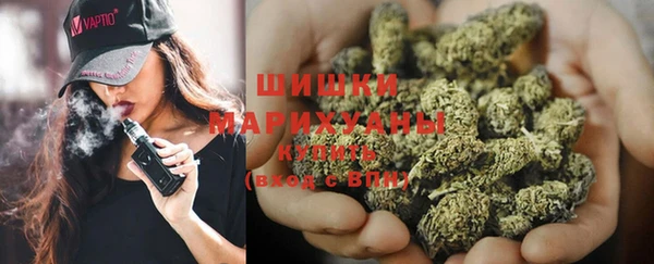 ГАЛЛЮЦИНОГЕННЫЕ ГРИБЫ Алзамай