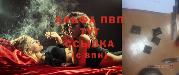 амф Алексин