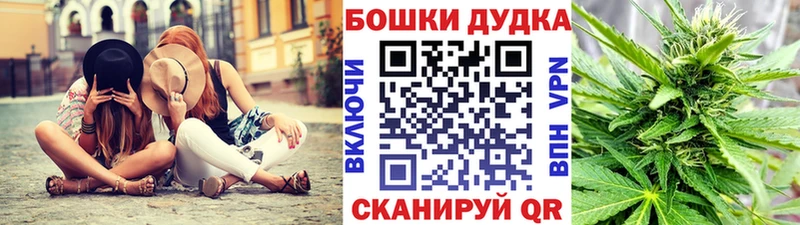 Конопля конопля Сосновка